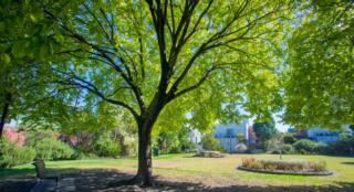 yourtown Draw 478 Photo